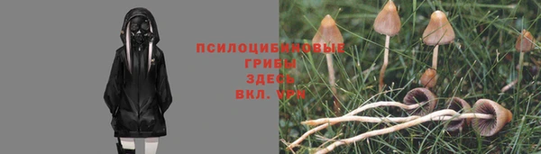 прущая мука Бронницы
