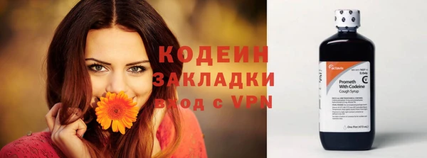 СК Вязьма