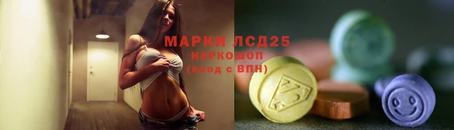 СК Вязьма