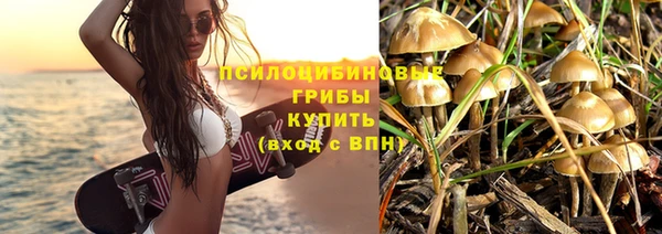 СК Вязьма