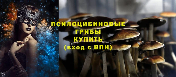 СК Вязьма