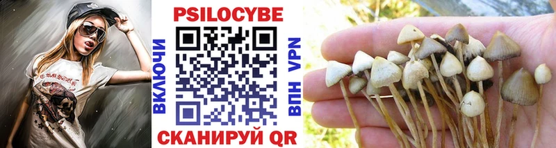 Псилоцибиновые грибы мухоморы  закладка  omg ссылки  Жердевка 